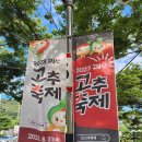 2023 괴산고추축제 불빛캠핑 캠핑사관학교 주관 괴산캠핑 지역축제