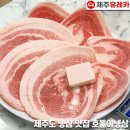 호돌이카 네이버블로그