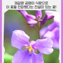 소래종묘 이미지