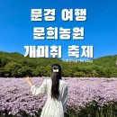 문희꽃밭 이미지