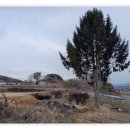 탑동고을 이미지