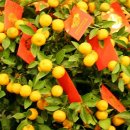 등구정 입구 이미지