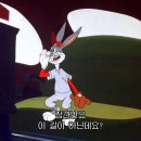 버니 이미지