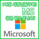와이엔에스