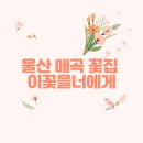 이꽃을너에게 이미지