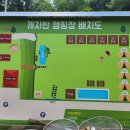 개차반캠핑장 이미지