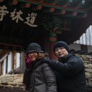 도림사 오토캠핑장 이미지