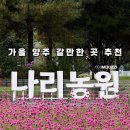 한박농원 | 가을여행 양주 필수코스 : 나리농원 주차 입장료 정보