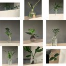 (유)수경 이미지