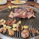 현지네 농원 이미지