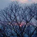 복돼지동산 이미지