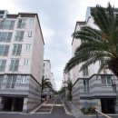 중문상로82번길 이미지