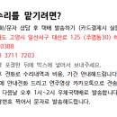 소피아플룻수리 이미지