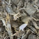 발효를 담다 이미지