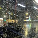 콰이어트크림티 | (내돈내산) 잠실 조용한 티룸 '콰이어트 크림티' 솔직후기 / 음료, 스콘 추천 / 재방문 의사 / 책읽기...