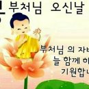 5월20일 ㅡ어제음력 4월 초팔일ㅡ부처님 오신날 ㅡ 이미지