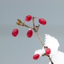 경희아양한의원 이미지