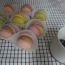 인마망마카롱 이미지