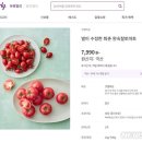 토마토마켓 이미지