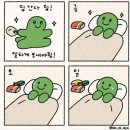 게으른집돌이