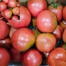토마토 - 미추홀구 인하로 174 | 토마토