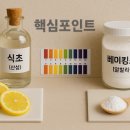 양천산성 | “산성 vs 알칼리성 핵심 포인트”