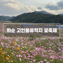 경암공원1 | 화순 고인돌유적지 꽃축제 후 방문 후기, 아이랑 가볼만한 곳