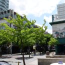 평촌일번가 문화의거리 이미지