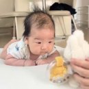 차소아과의원 네이버블로그