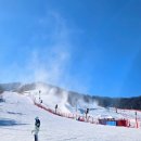 왕돈까스하우스 | 휘닉스파크 렌탈샵 리프트권 가격 완벽정리 스키하우스 푸드코트 맛집 솔직후기