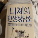 블루보트게스트하우스 | 경주 2박3일 여행 (풀빌라런투유경주/블루보트게스트하우스/황리단길/첨성대/월정교)