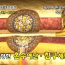 이브자리호남점