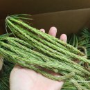 장복농장 이미지