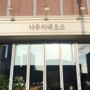 나무아래모모