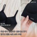 타밈 캐미 젤리브라 내돈내산 후기한가인 랄랄 속옷 브라 추천