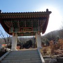 대성사 티스토리