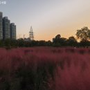 반포한강공원 체력단련장 농구장 네이버블로그