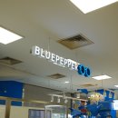 블루페퍼 안경 소사점 이미지