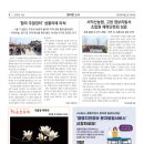 한옥태양광발전소 네이버블로그