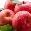 보육교사론 이미지