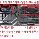 메딕카 이미지