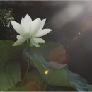 일기일회 이미지