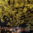 제201차 동해우리새마을금고 문화탐방산악회 정기산행(안동 하회마을 관람&amp;월영교 트레킹) 이미지