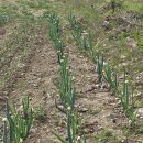 강진산들농원 이미지