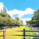 백로체육관 | 수변로, 아이들과 아침 산책 길