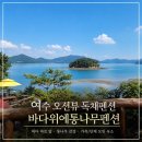 통나무펜션 | 여수오션뷰독채펜션 바다위에통나무펜션 후기, 여수연말모임펜션 추천