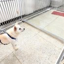 송강동물병원 이미지