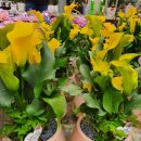 원복농장 이미지