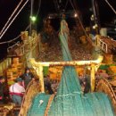 동해-단속-46 이미지