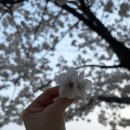 우리나현유치원 이미지